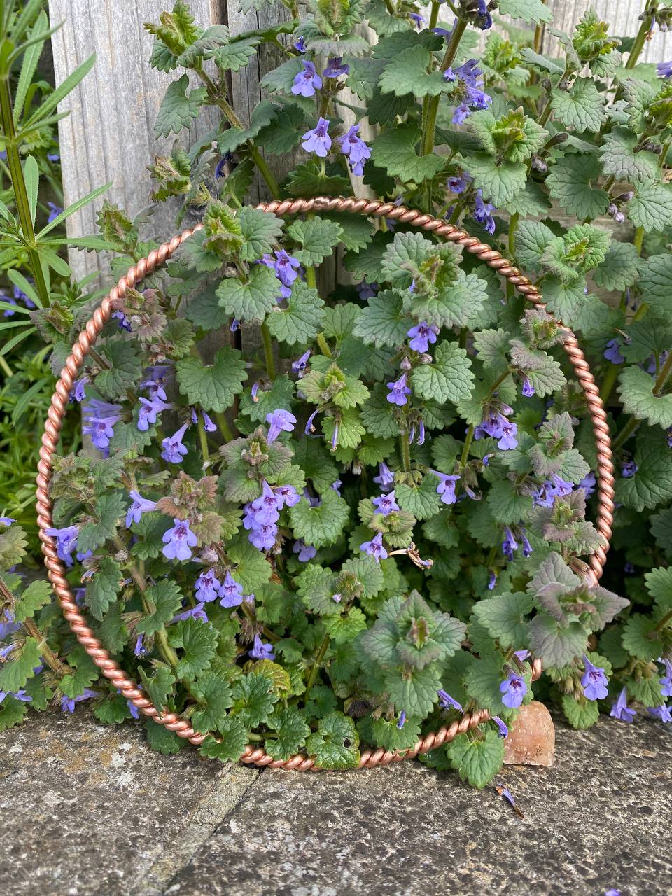 Full Sacred/Royal Cubit Tensor Ring (Smart Meter)